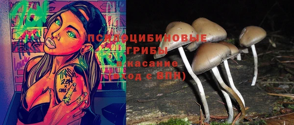 эйфоретик Алзамай